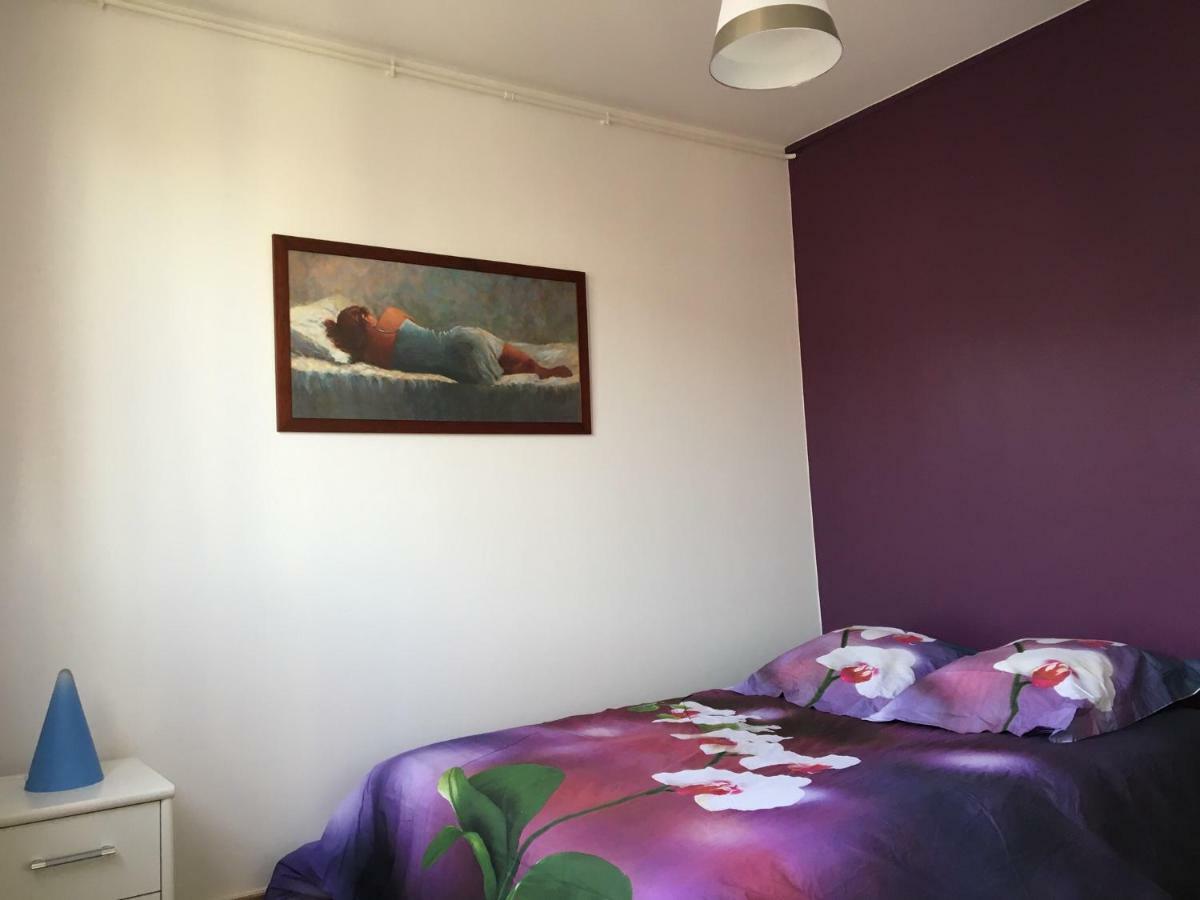 Appartement Deux Chambres Salon Parking Rouen Kindarena Buitenkant foto